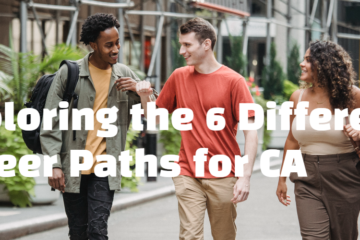 Exploring the 6 Different Career Paths for CA