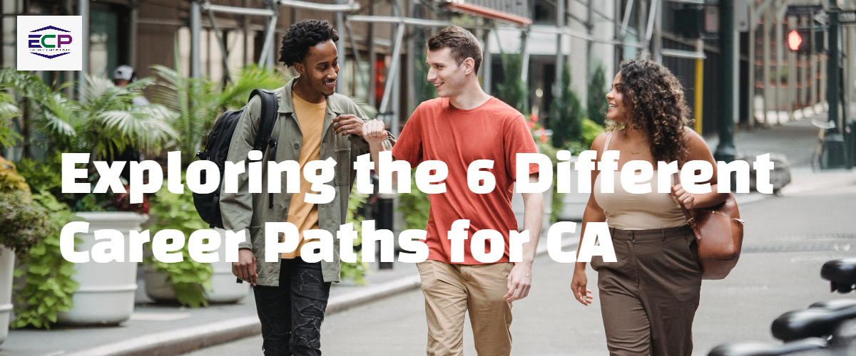 Exploring the 6 Different Career Paths for CA
