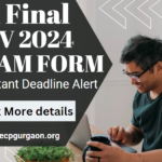 CA Final Nov 2024 Exam Form Important Deadline Alert